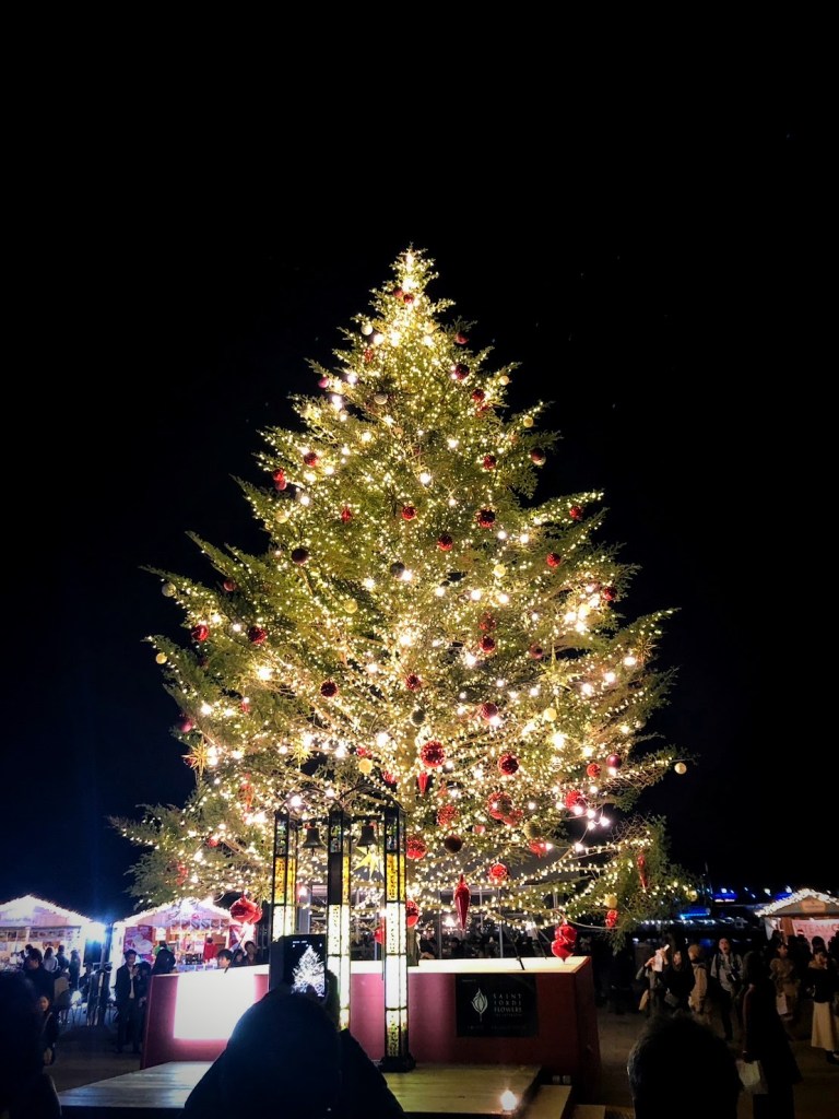 Picture of an out door Christmas tree 