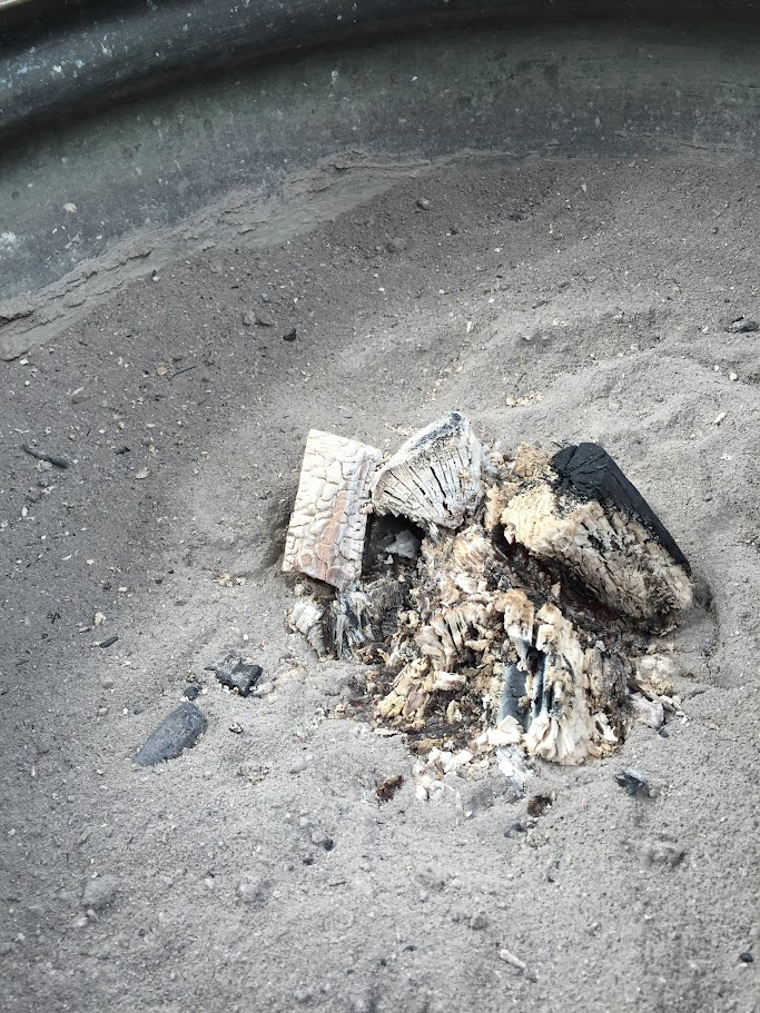 How Hibachi Shattered My Culinary Comfort Zone